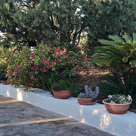 B&B Bell'Aria Monopoli Exterior photo